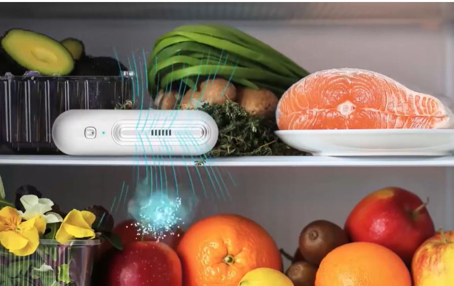 Ozoor Fridge Deodoriser