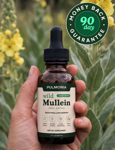 Pulmoria Mullein Drops