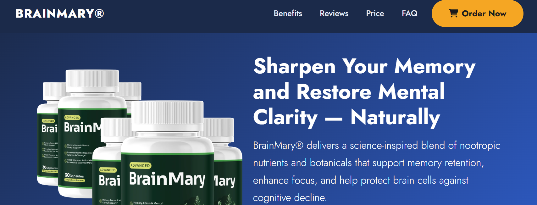 BrainMary Supplement