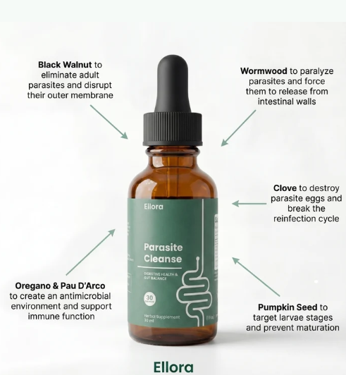 Ellora Black Walnut Wormwood